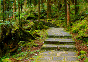 alishan_3